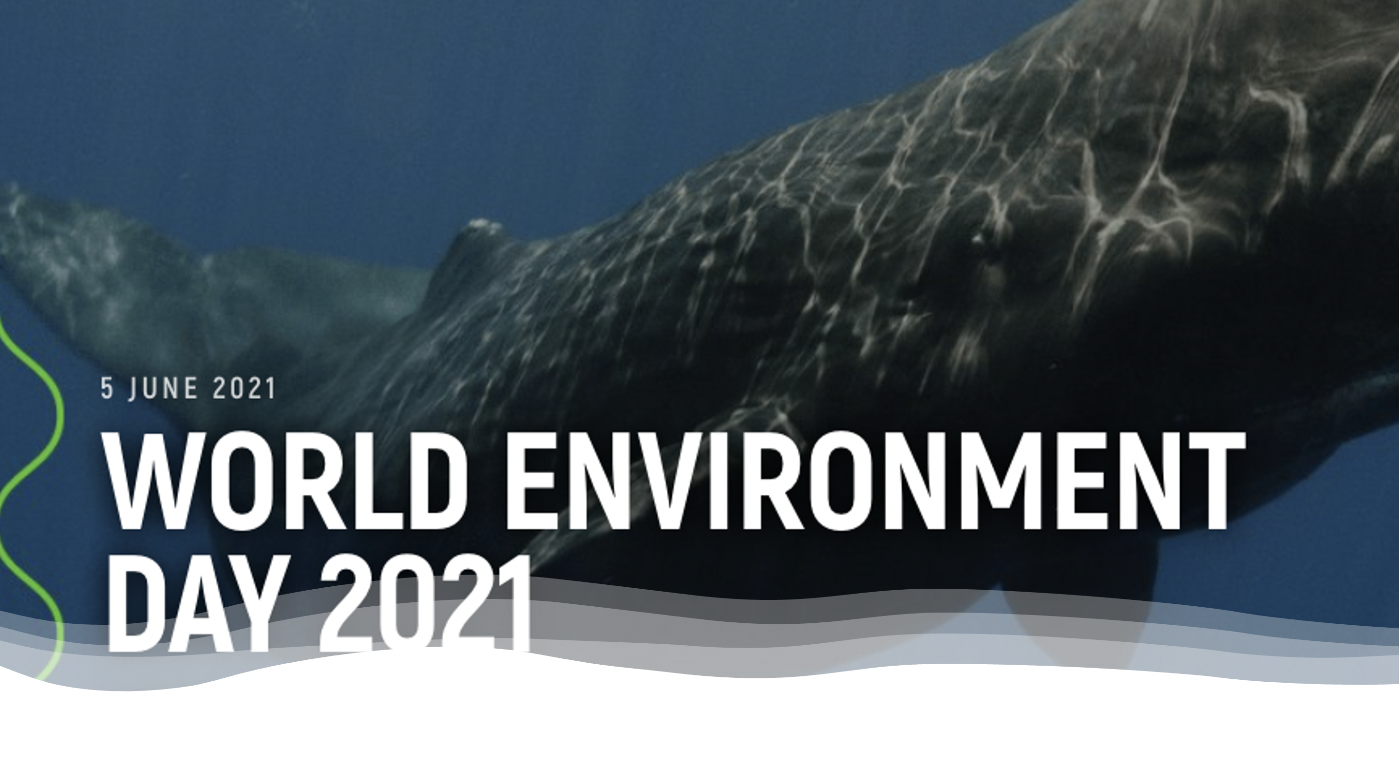 World Environment Day - 5 June 2021